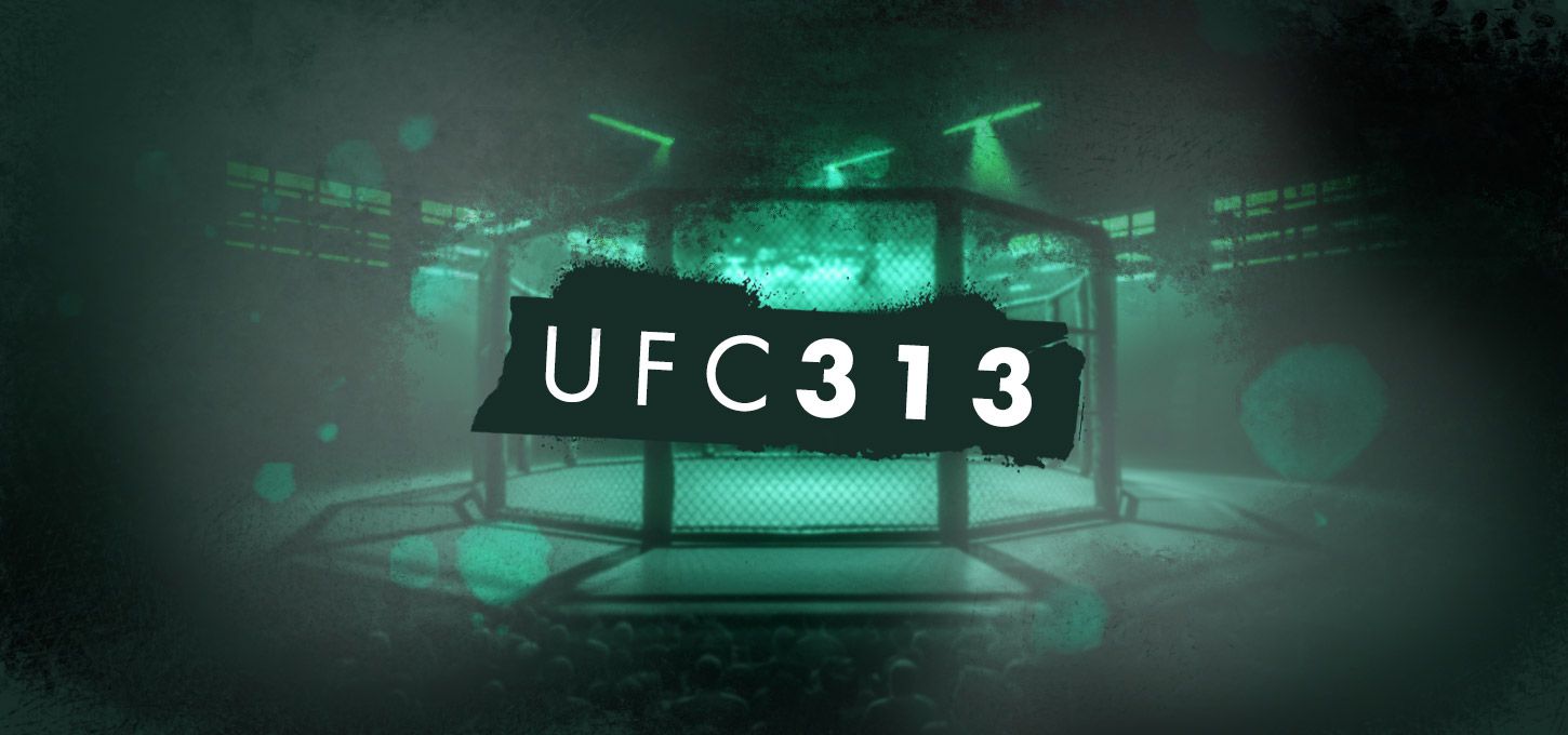 UFC 313