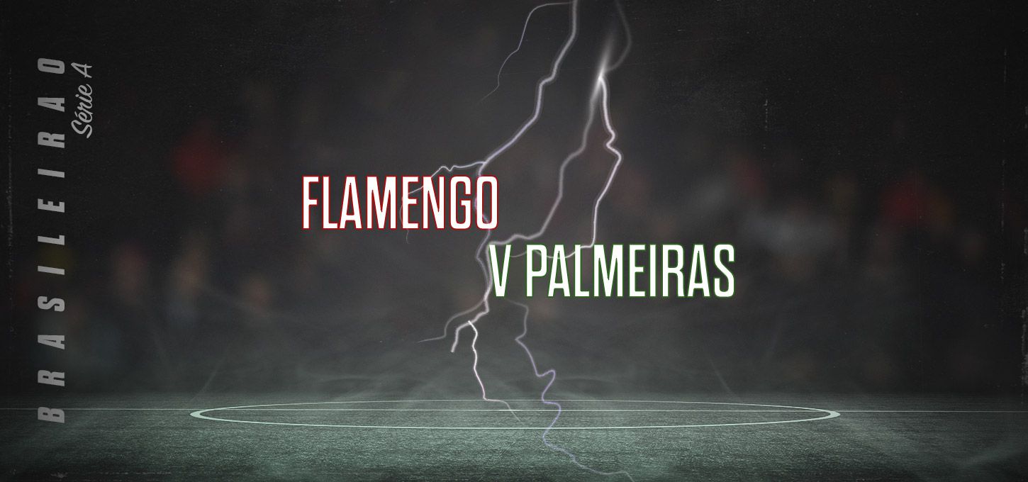 Flamengo v Palmeiras