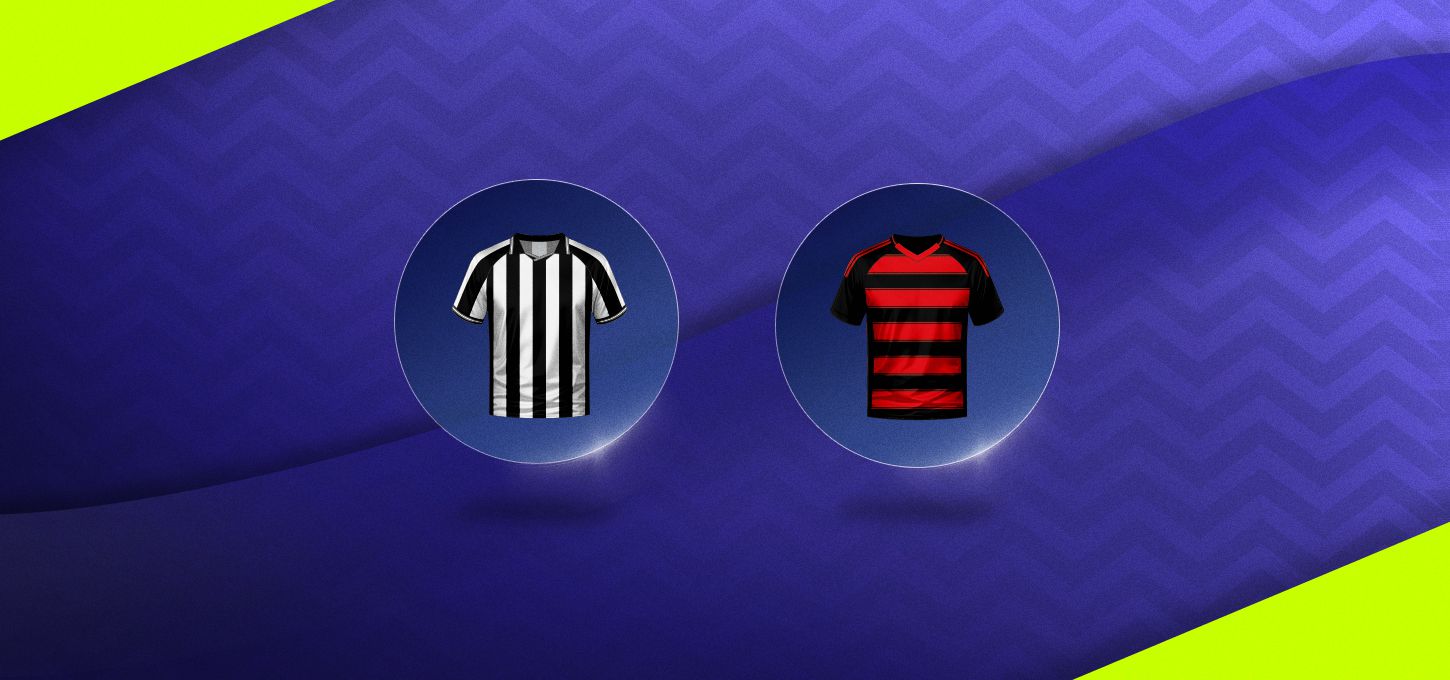 Botafogo v Flamengo