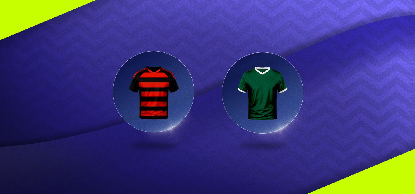 Flamengo v Palmeiras