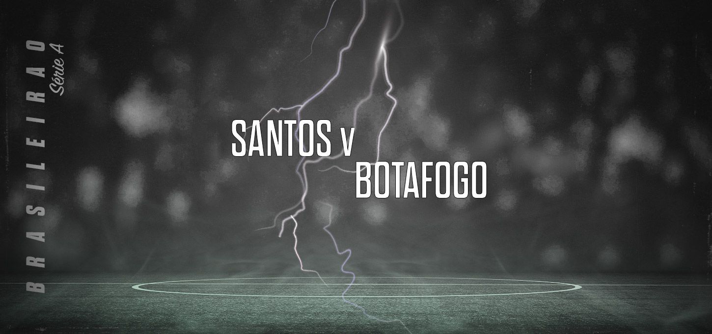 Santos v Botafogo