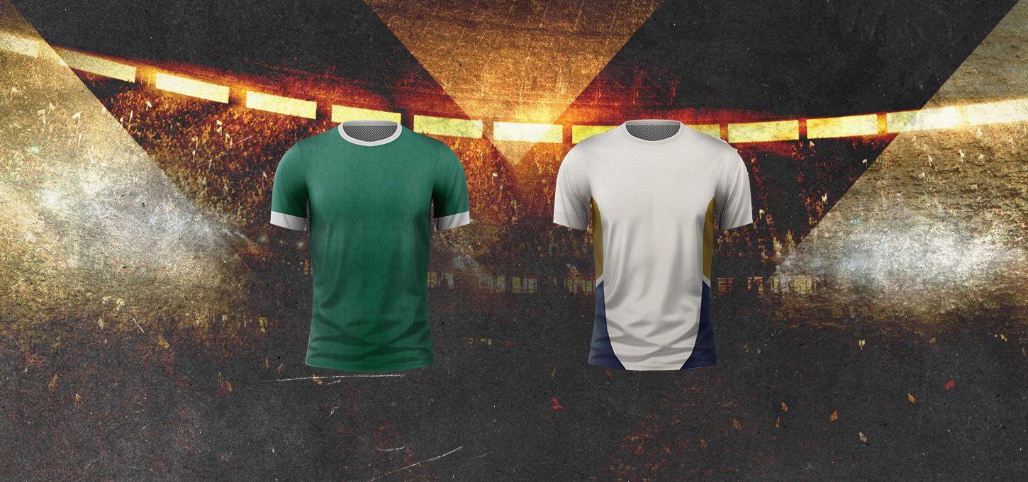 Palmeiras x LDU