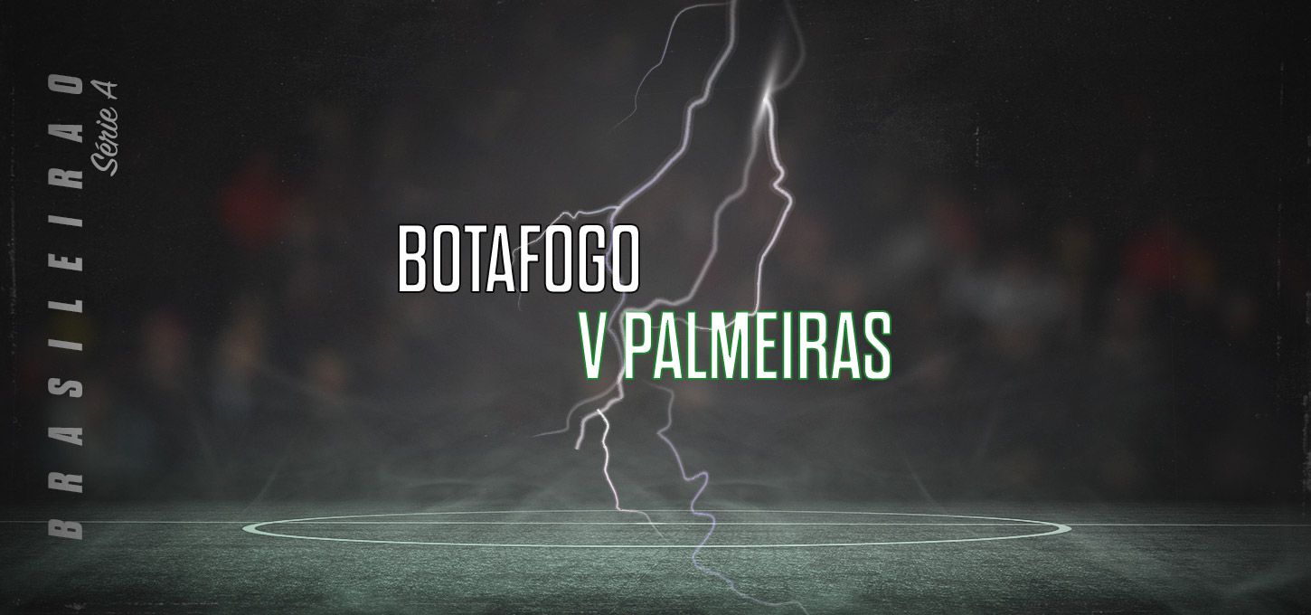 Botafogo v Palmeiras
