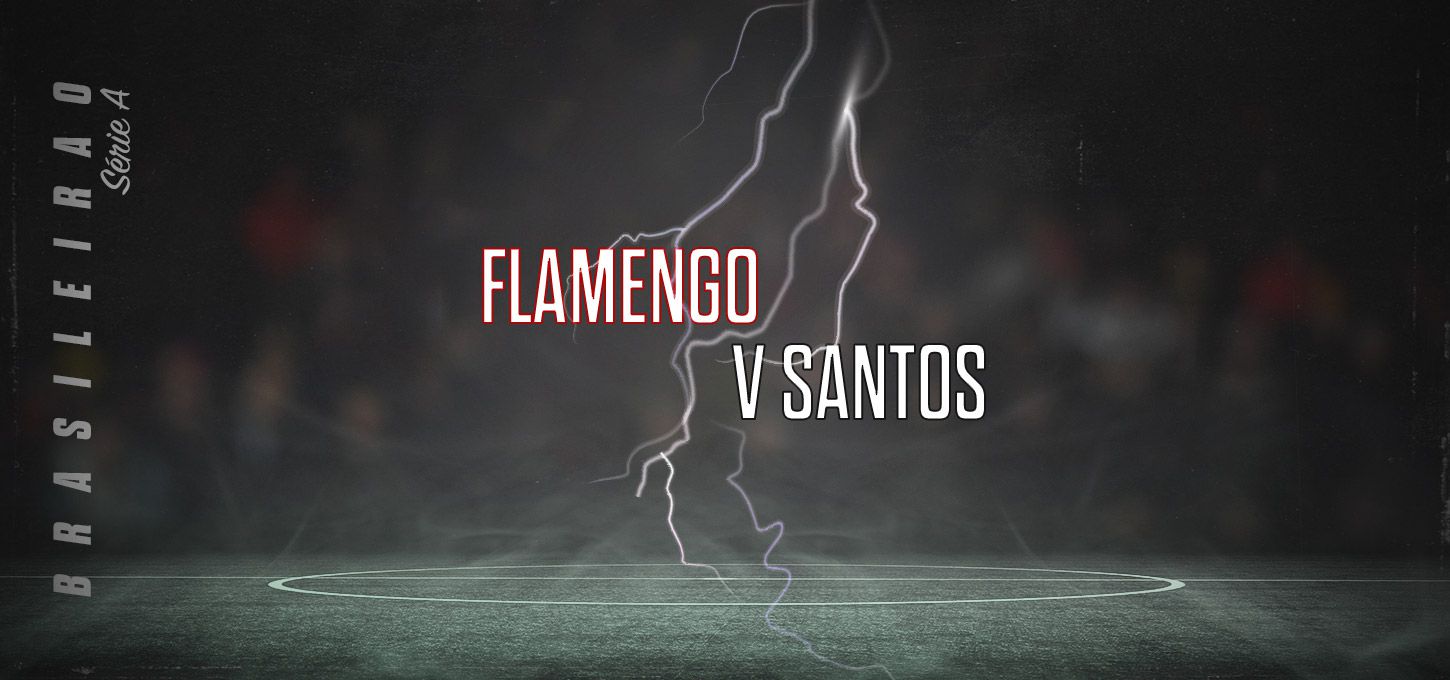 Flamengo v Santos