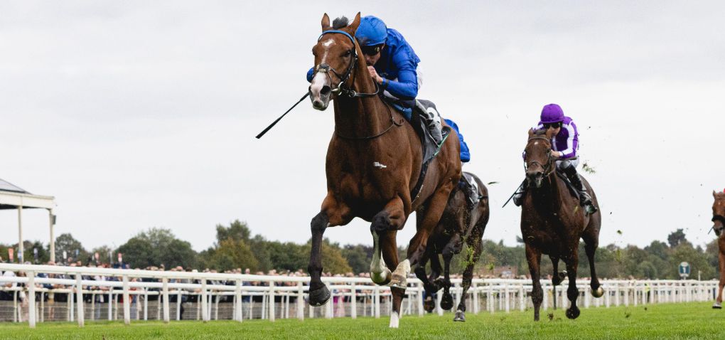 Ombudsman gets the better of Delacroix in the Juddmonte International