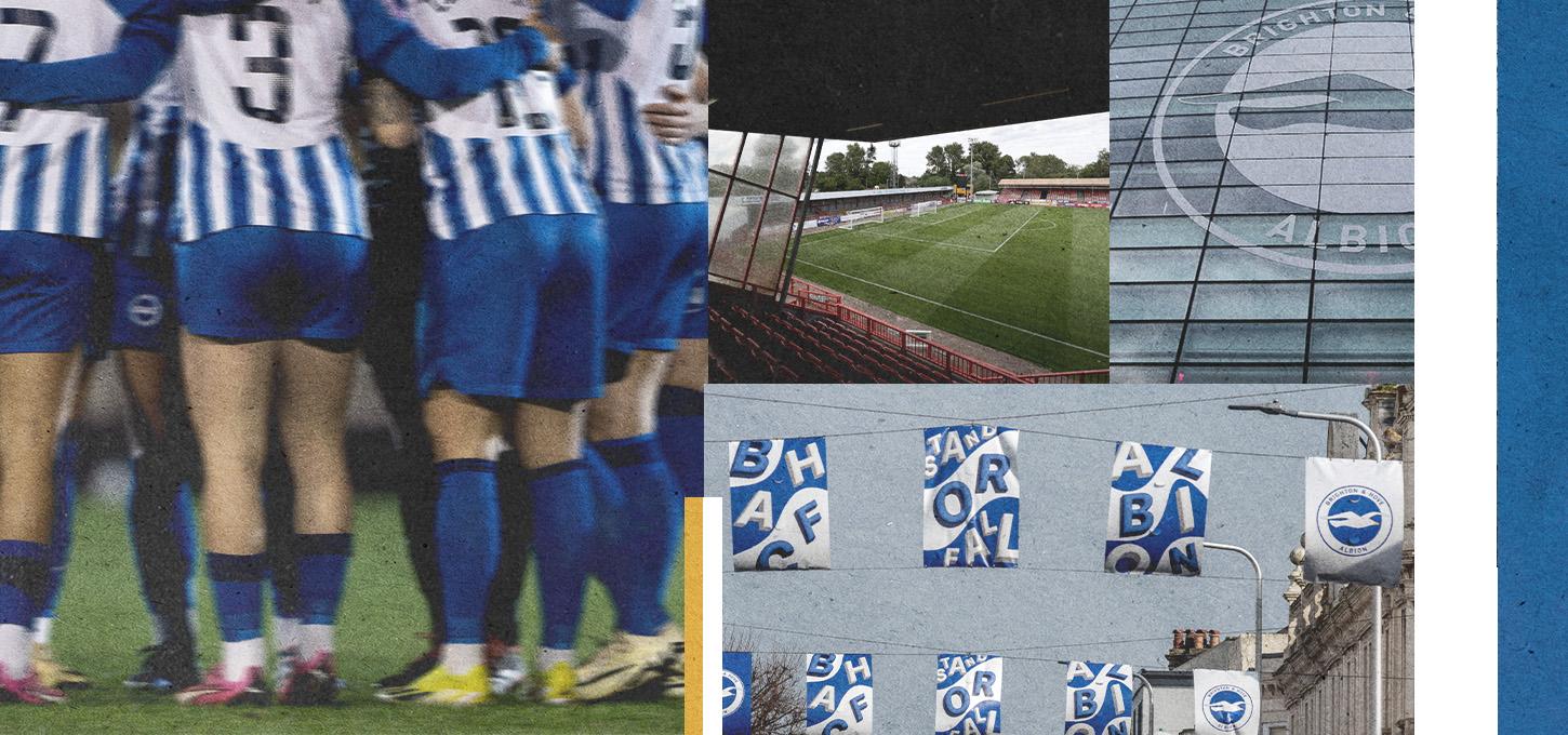 Brighton WOMEN Generic - Women's Super League (WSL)