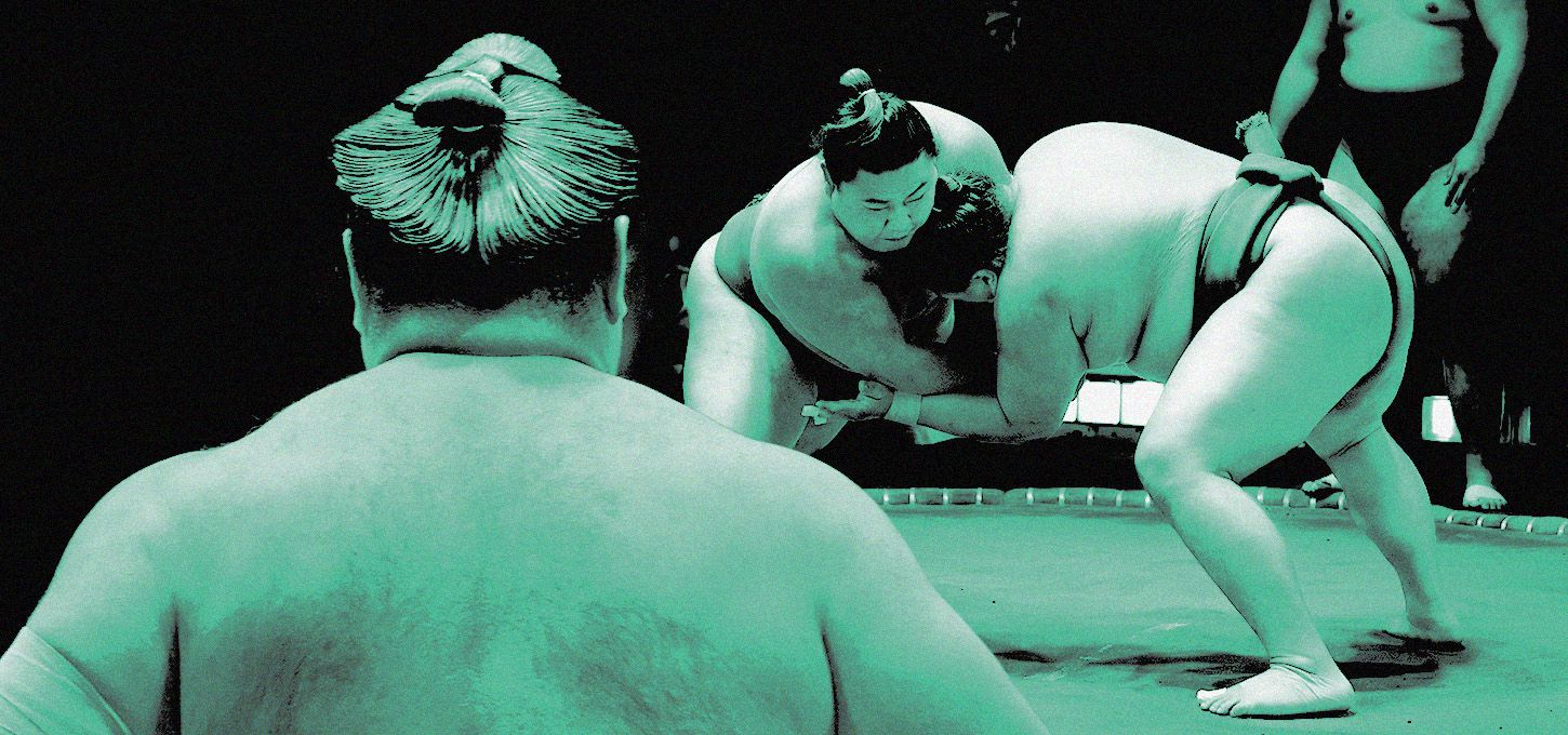 Sumo Hub Image