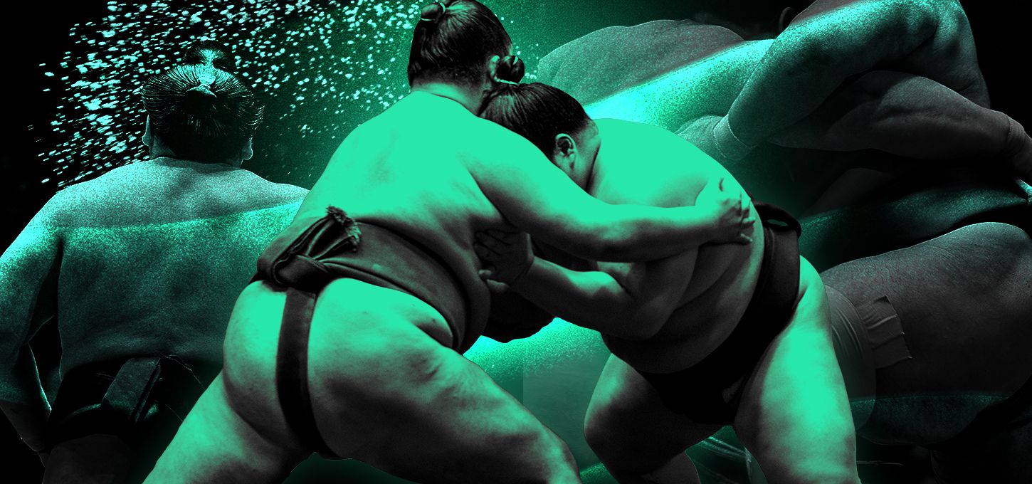 Sumo Hub Image
