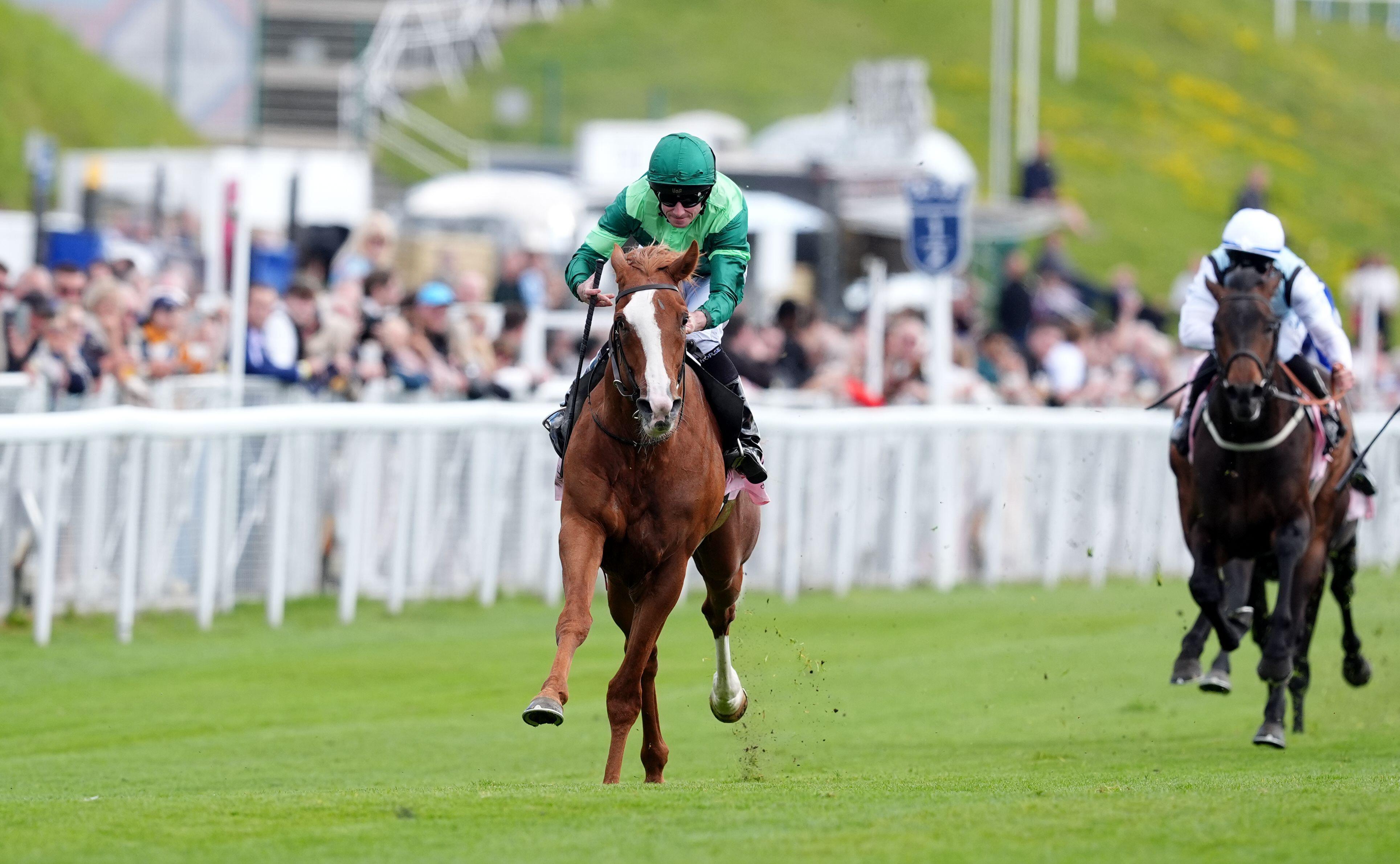 Epsom Derby/Benvenuto Cellini