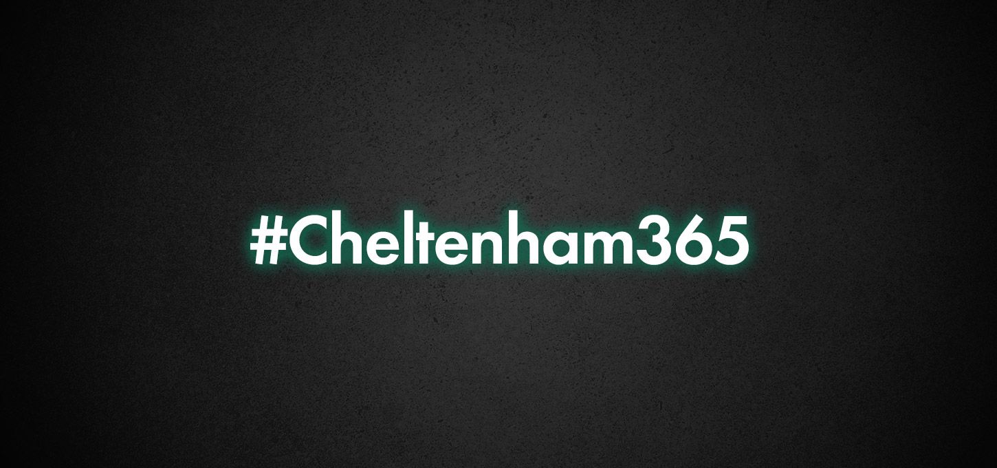cheltenham365