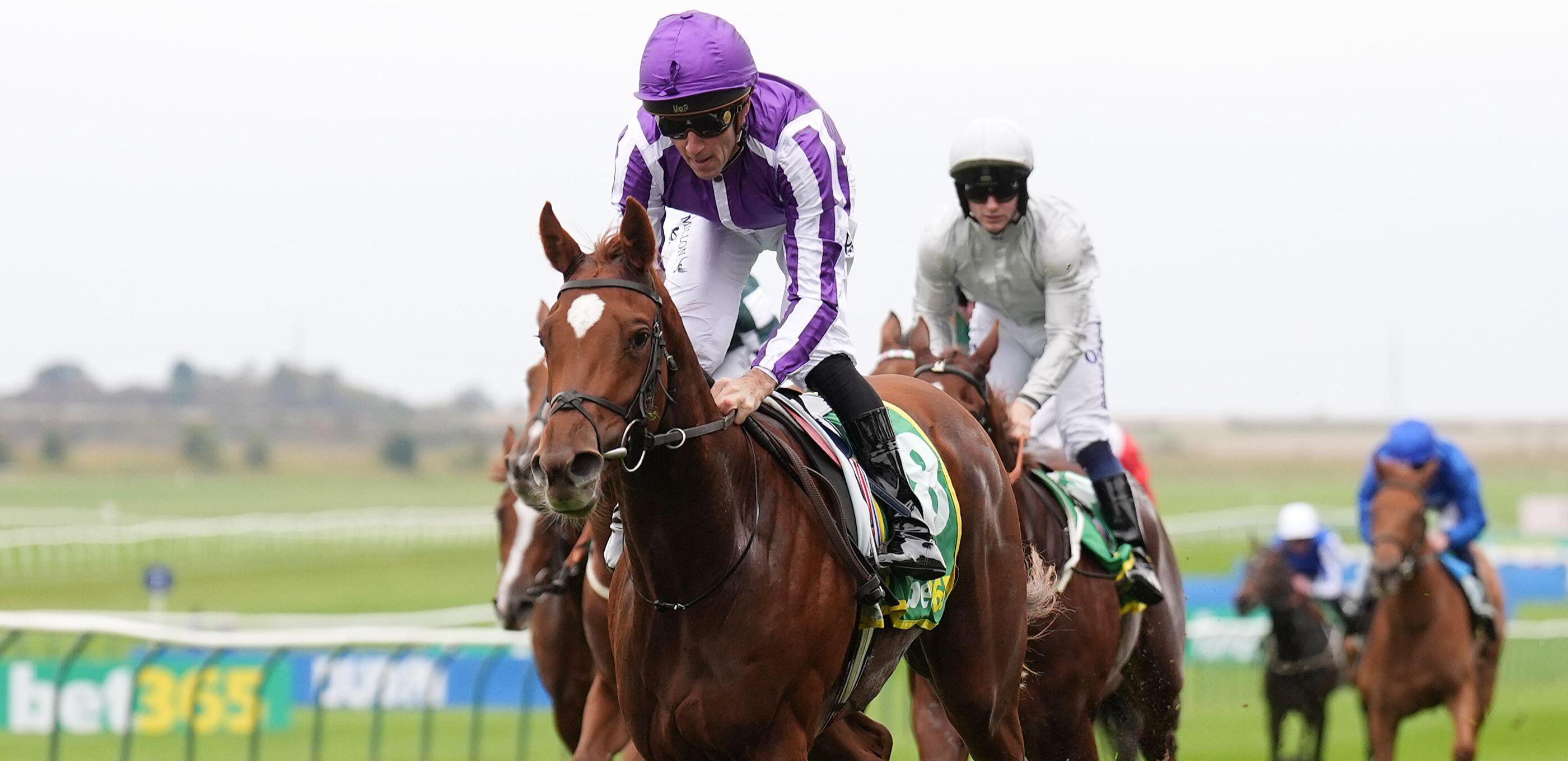 Precise/bet365 Fillies' Mile