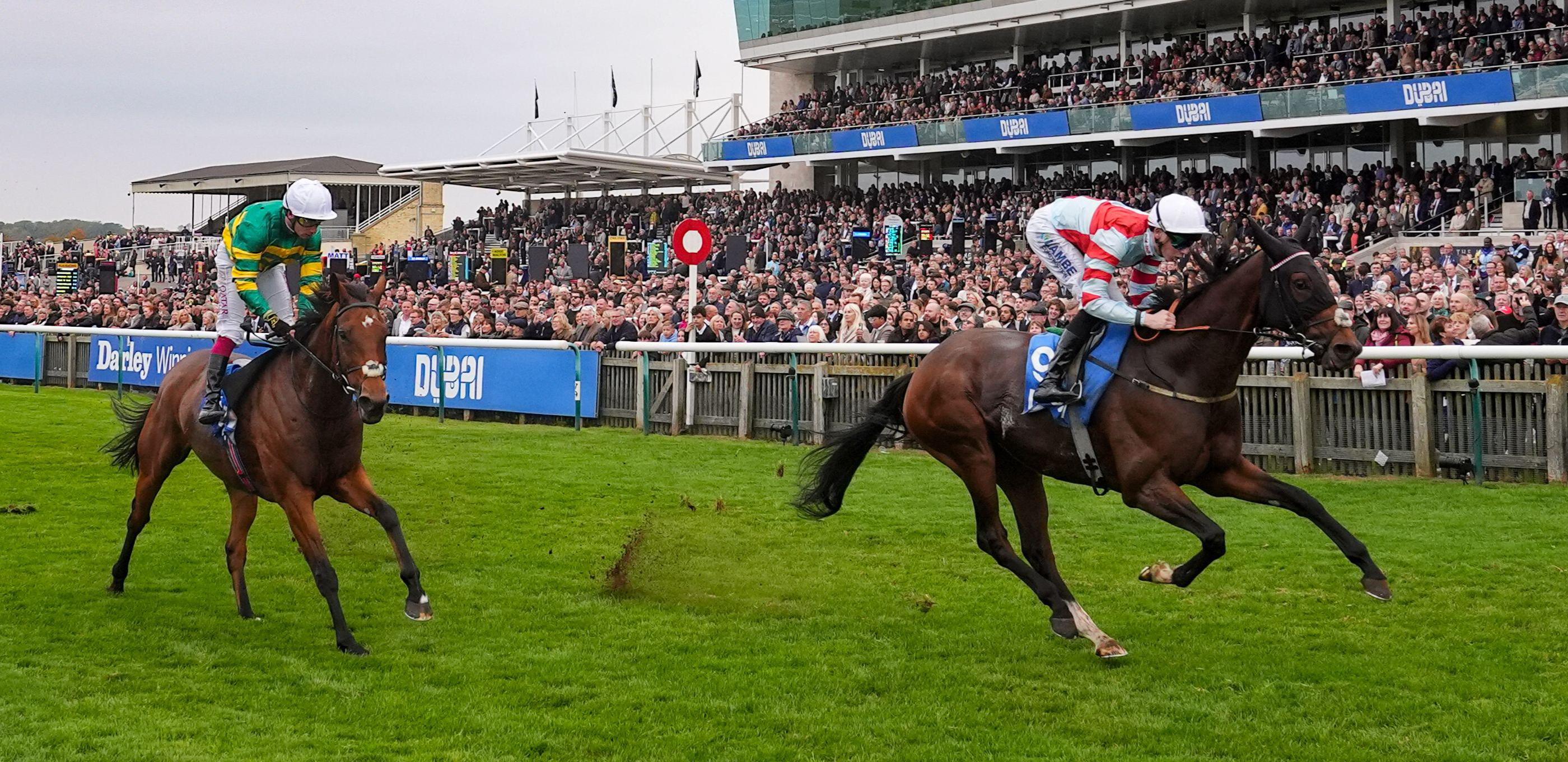 Cesarewitch