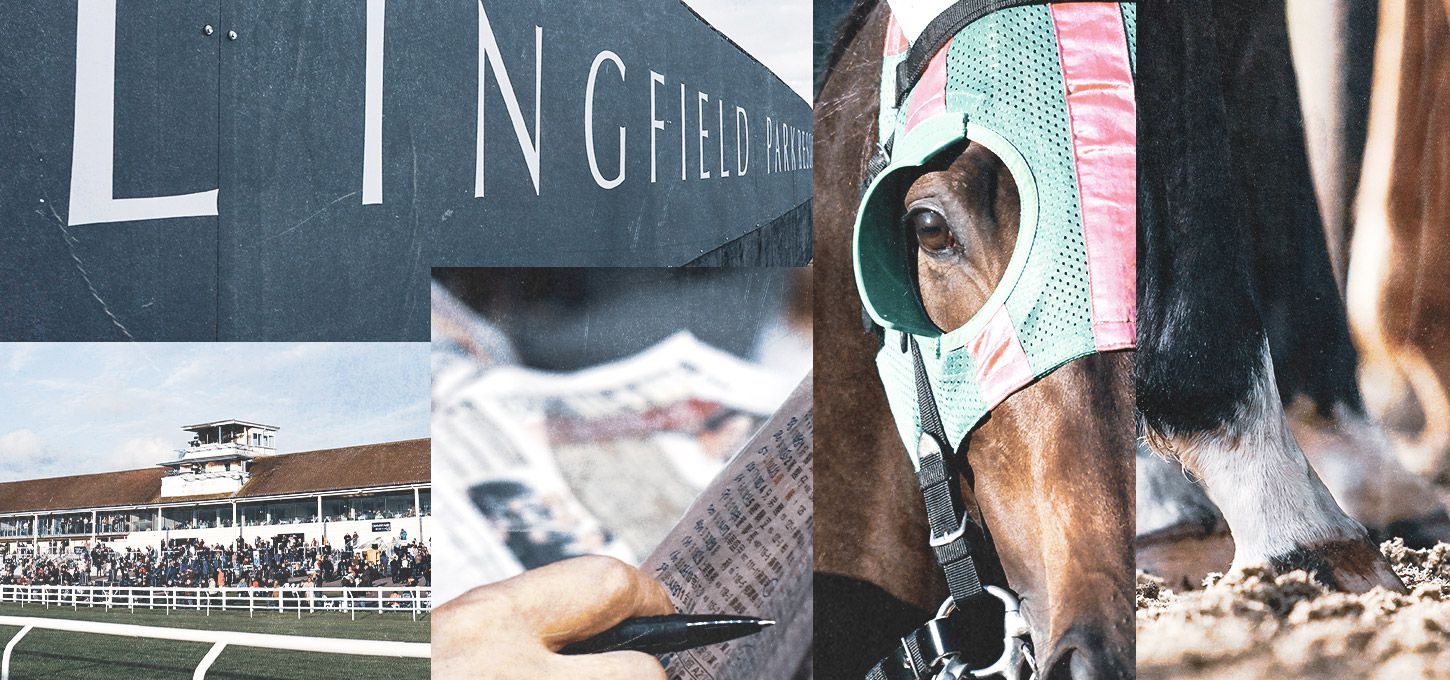 Lingfield Horse Racing