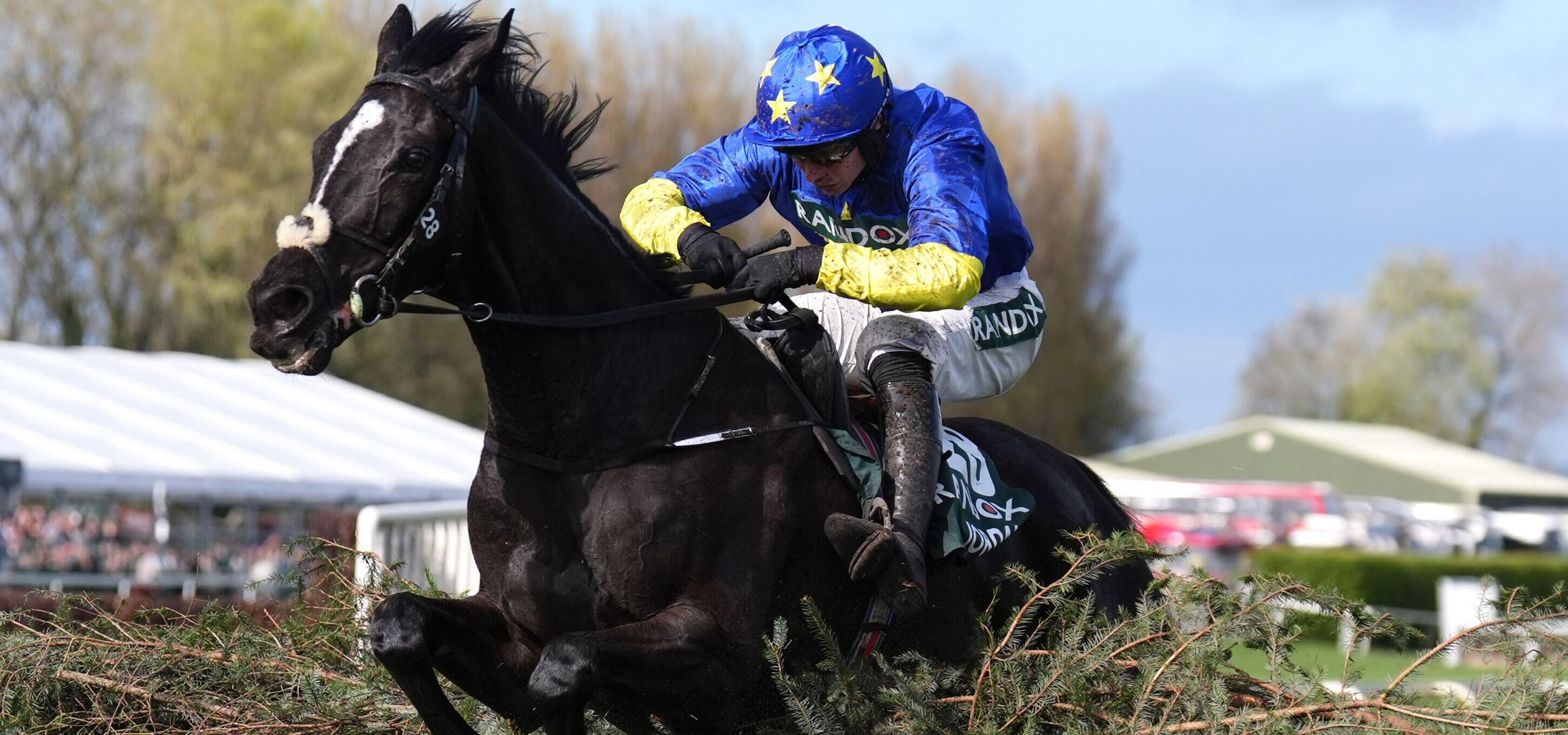 Constitution Hill: Profile, Record, Age & Best Races - bet365 News UK