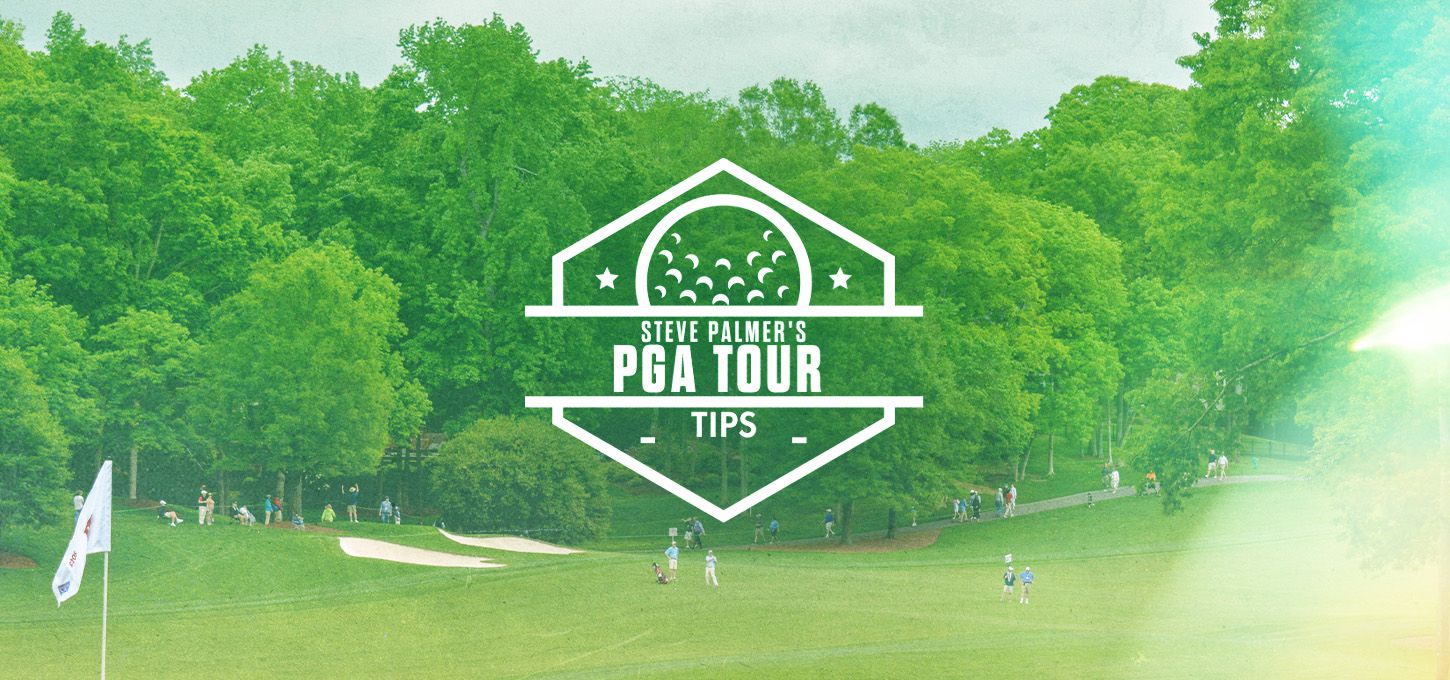 Steve Palmer PGA Championship Tips