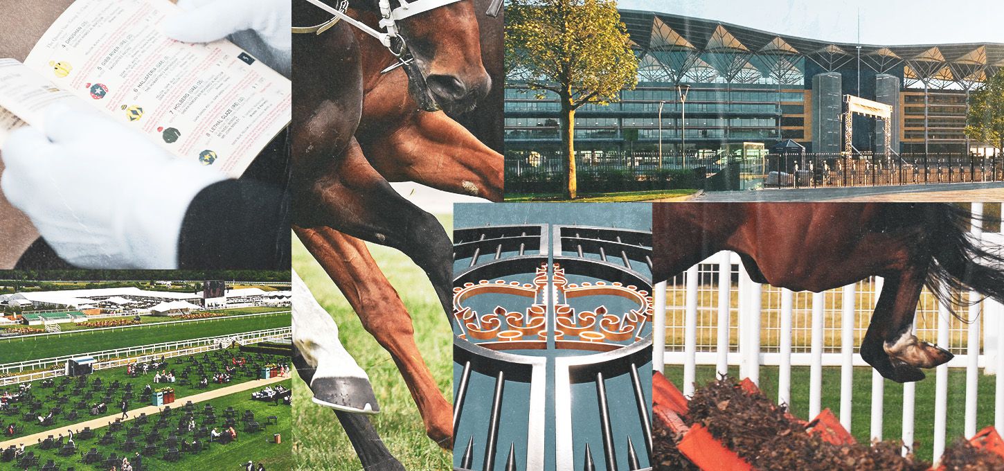 Ascot Tips