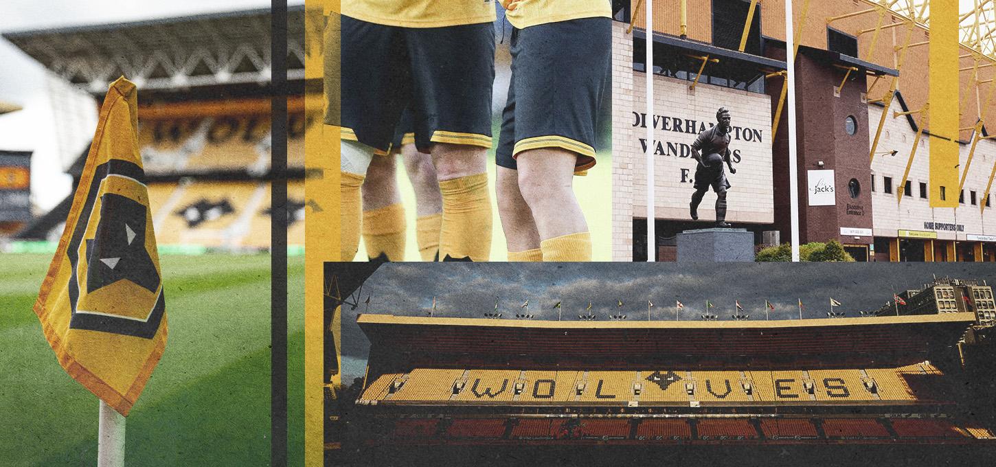 Wolverhampton Wanderers (Wolves) Generic