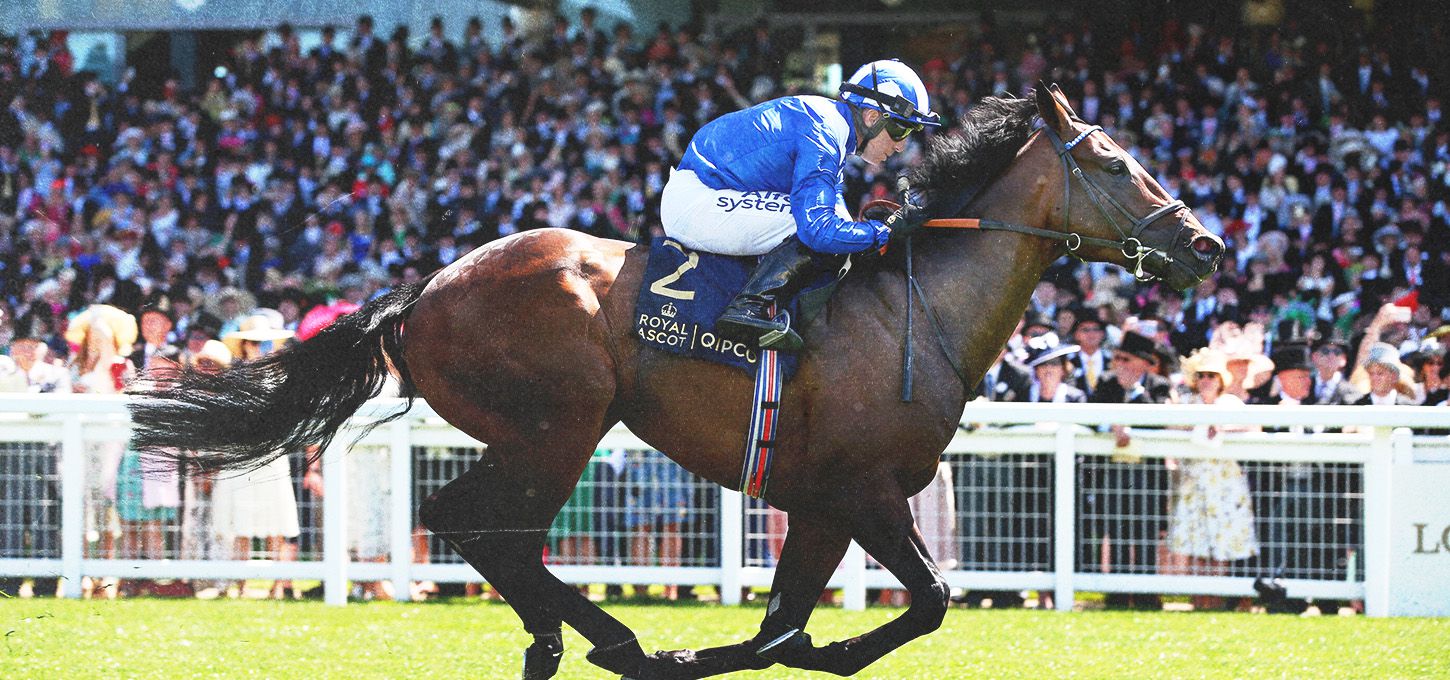 Jim Crowley