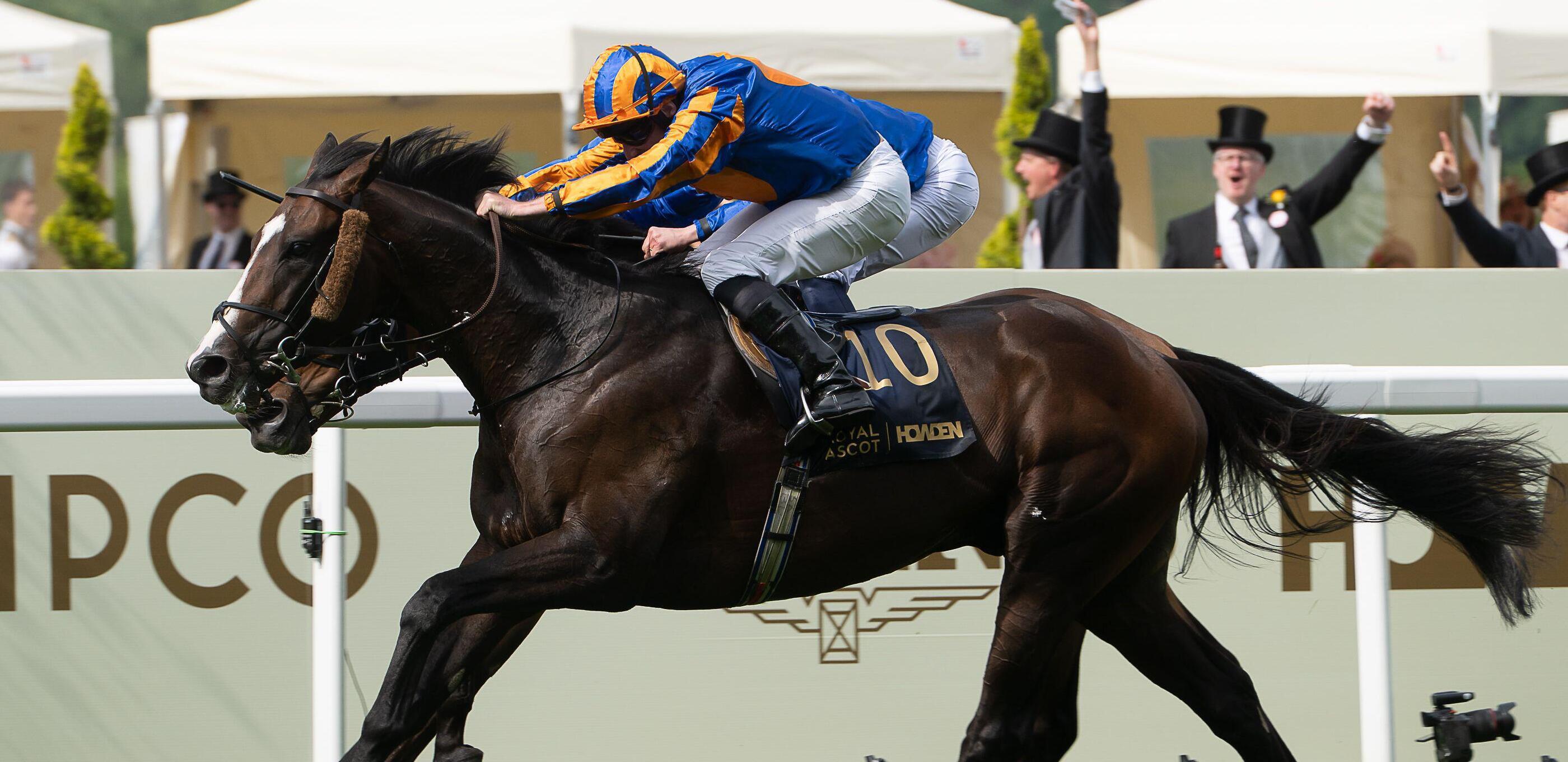 Scandinavia/Ascot