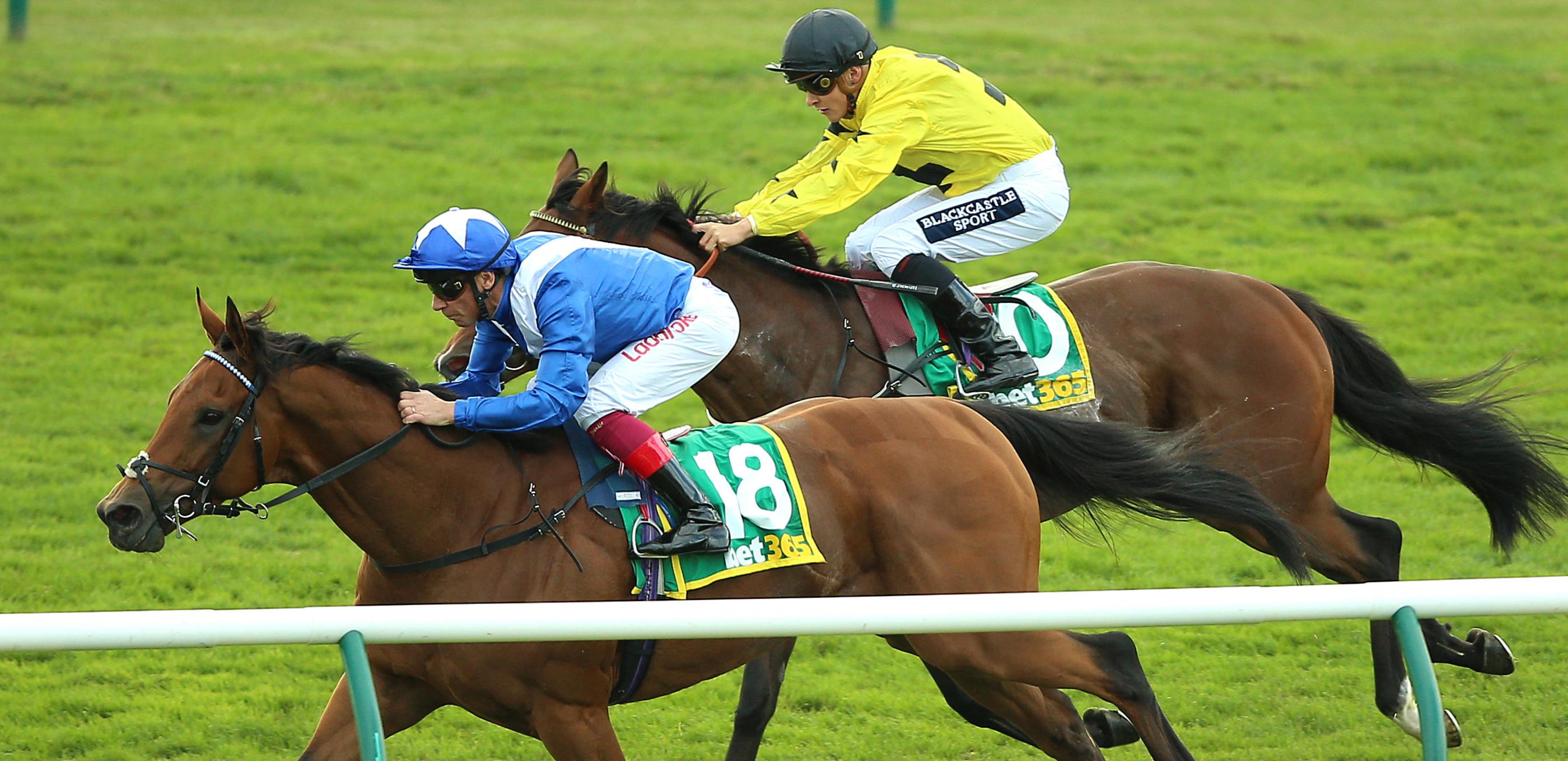bet365 Cambridgeshire