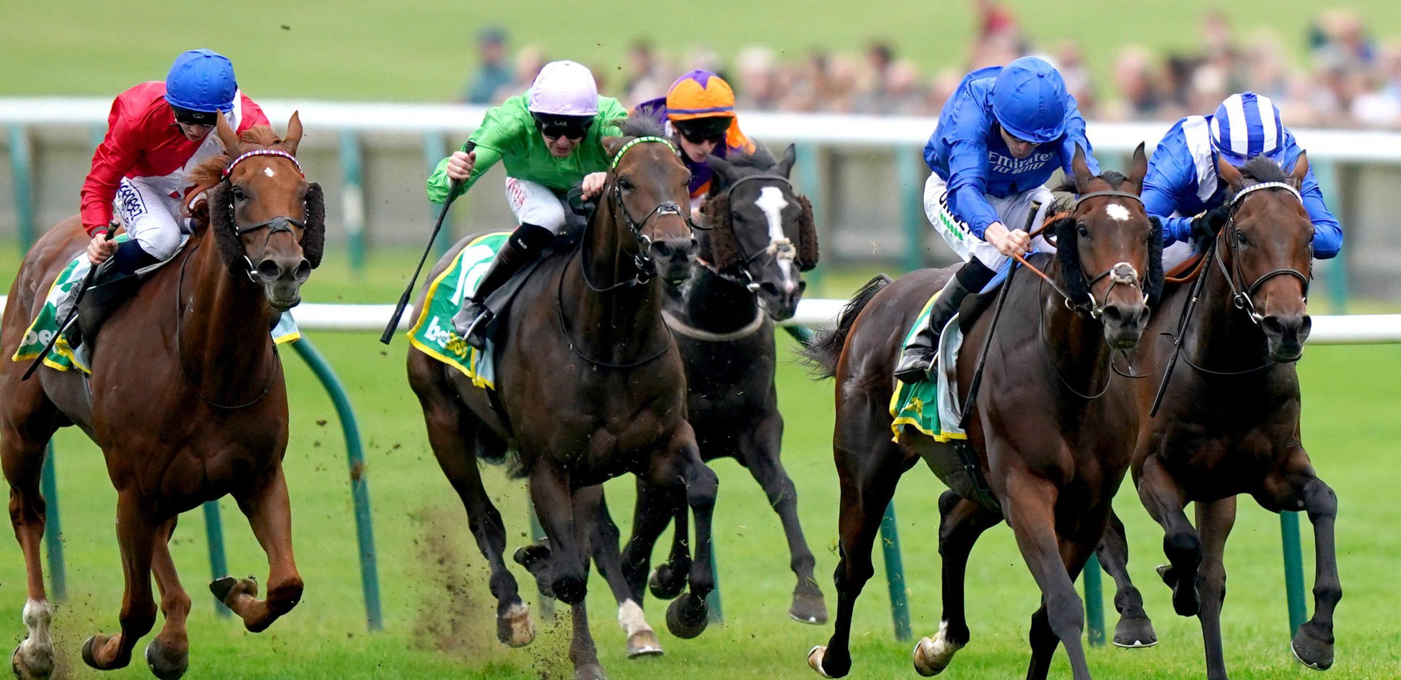 bet365 Cambridgeshire