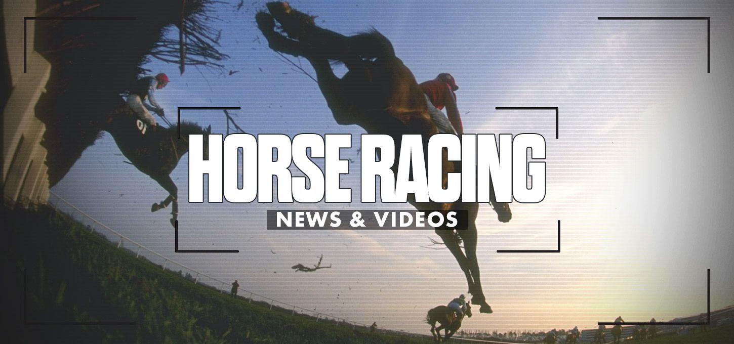 Horse Racing News & Videos