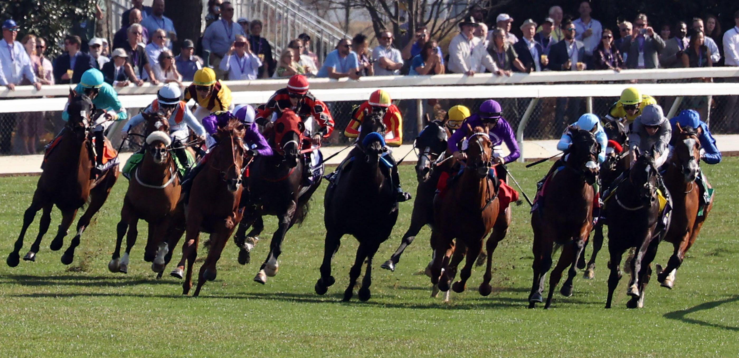 Cheltenham October Meeting: Latest going report - bet365 News UK