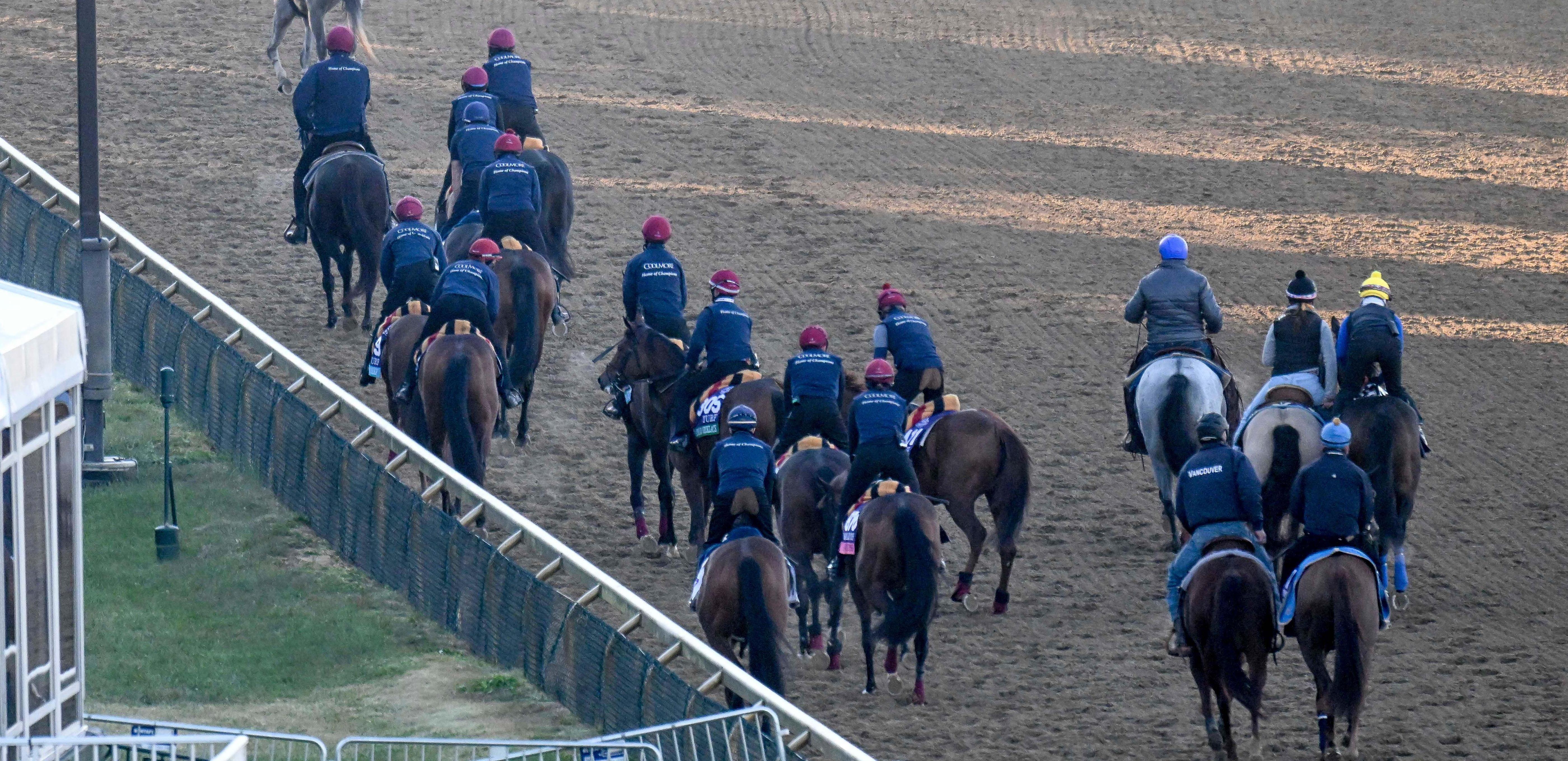 Cheltenum Races Cheltenham October Meeting: Latest going report - bet365 News UK