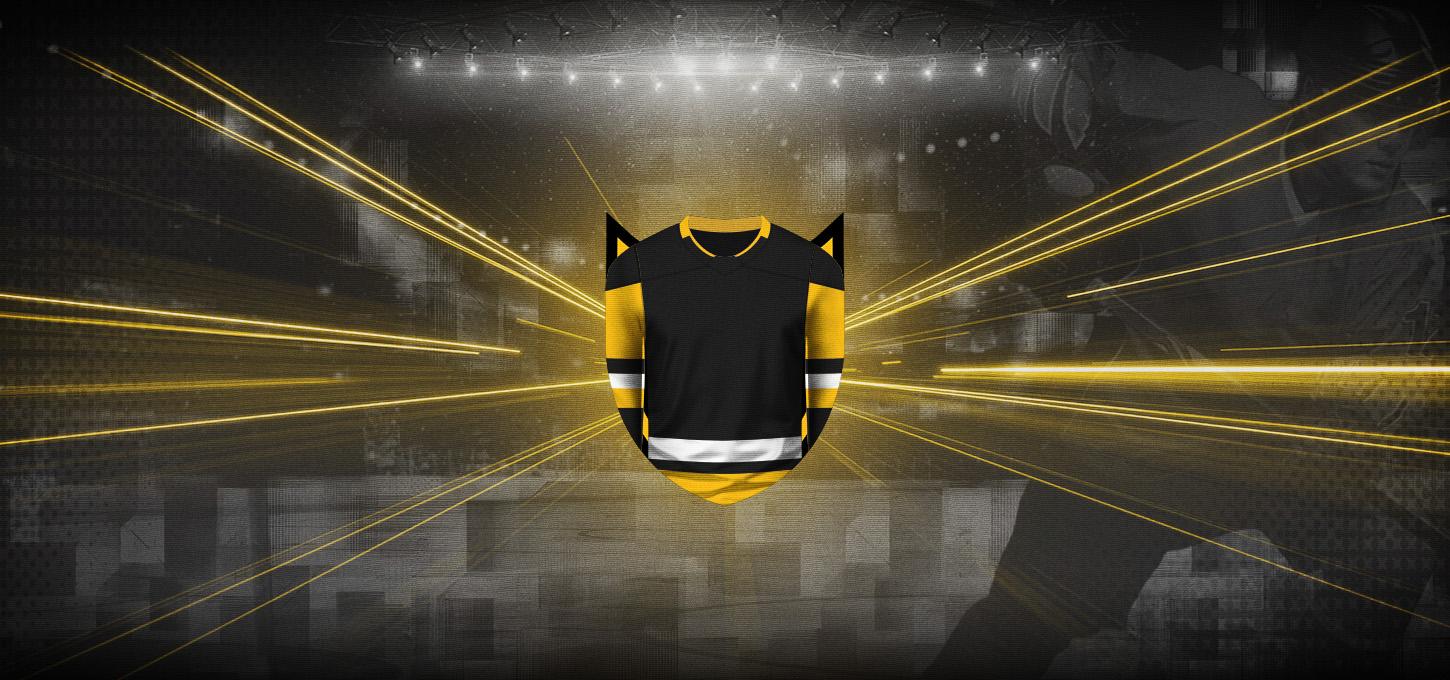pittsburgh penguins