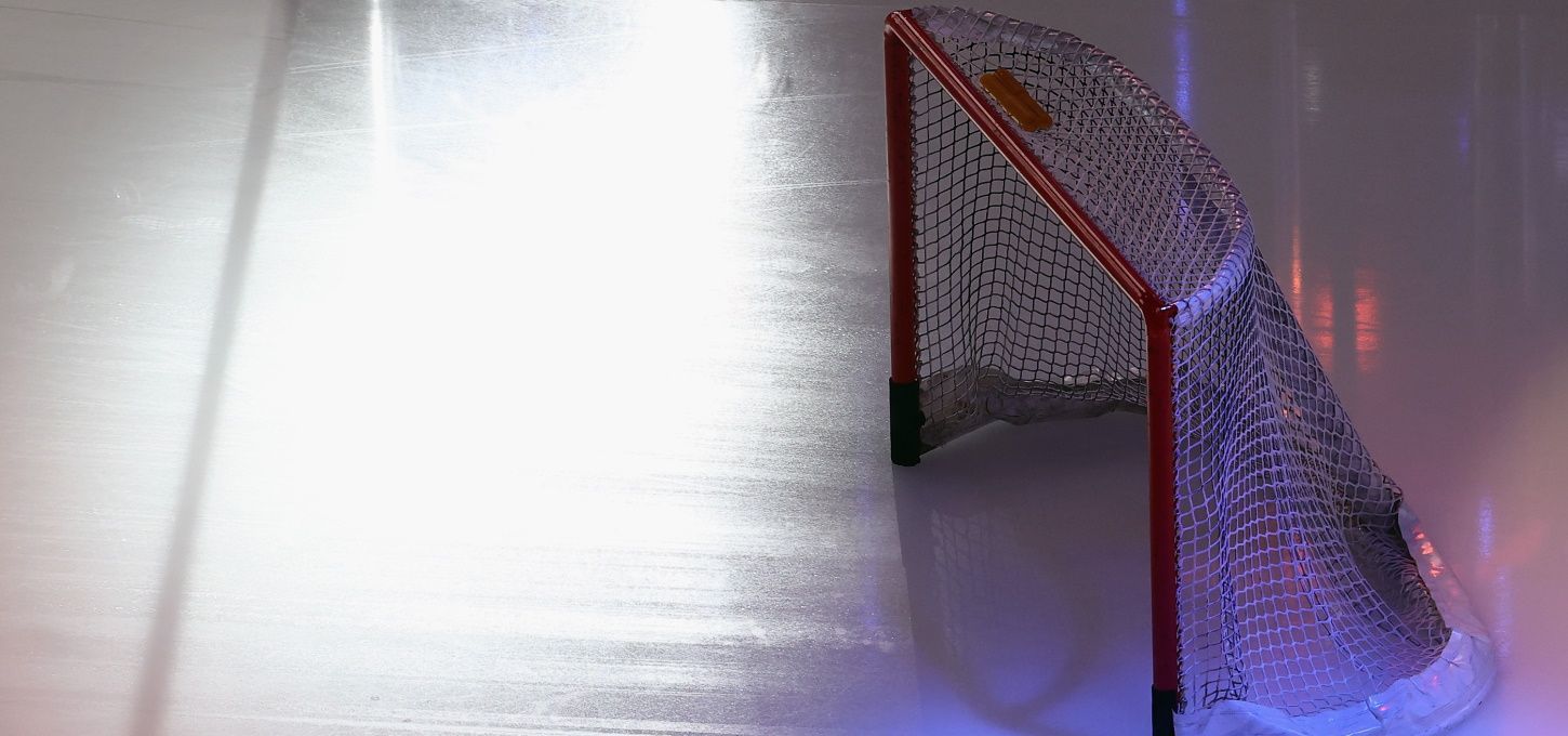 Torsdag nat får Minnesota Wild besøg af Detroit Red Wings hjemme på Xcel Energy Center.