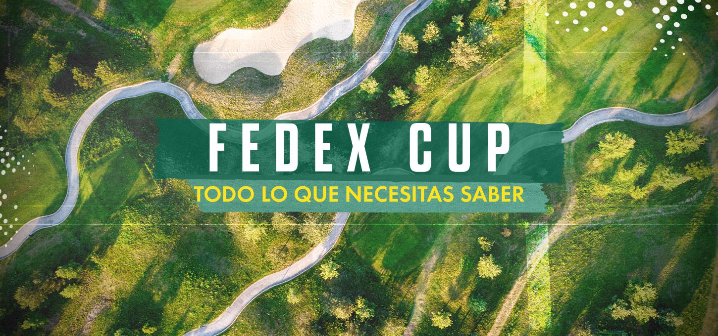 Fedex Cup - AYNTK