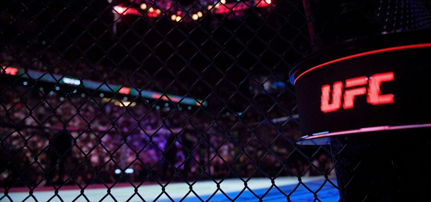 UFC 4