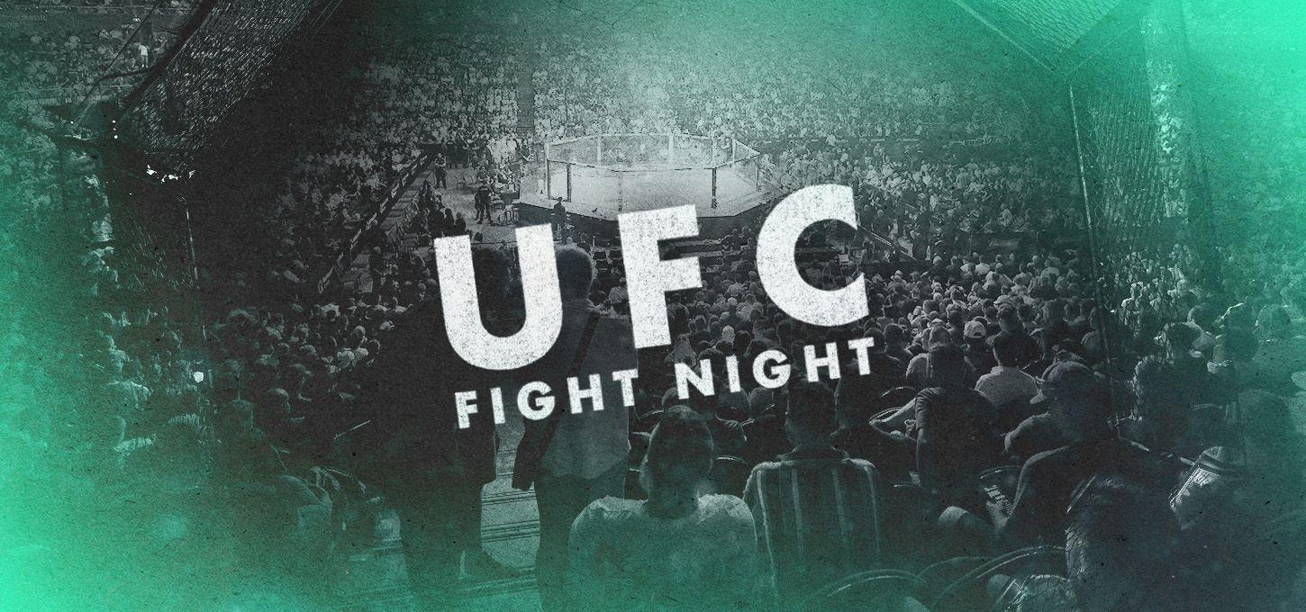 UFC FIGHT