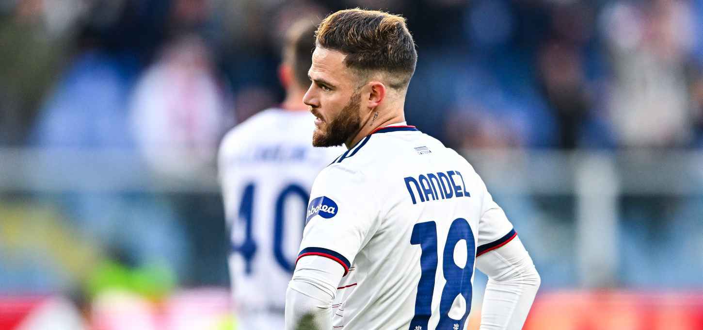 Nandez 1450x680