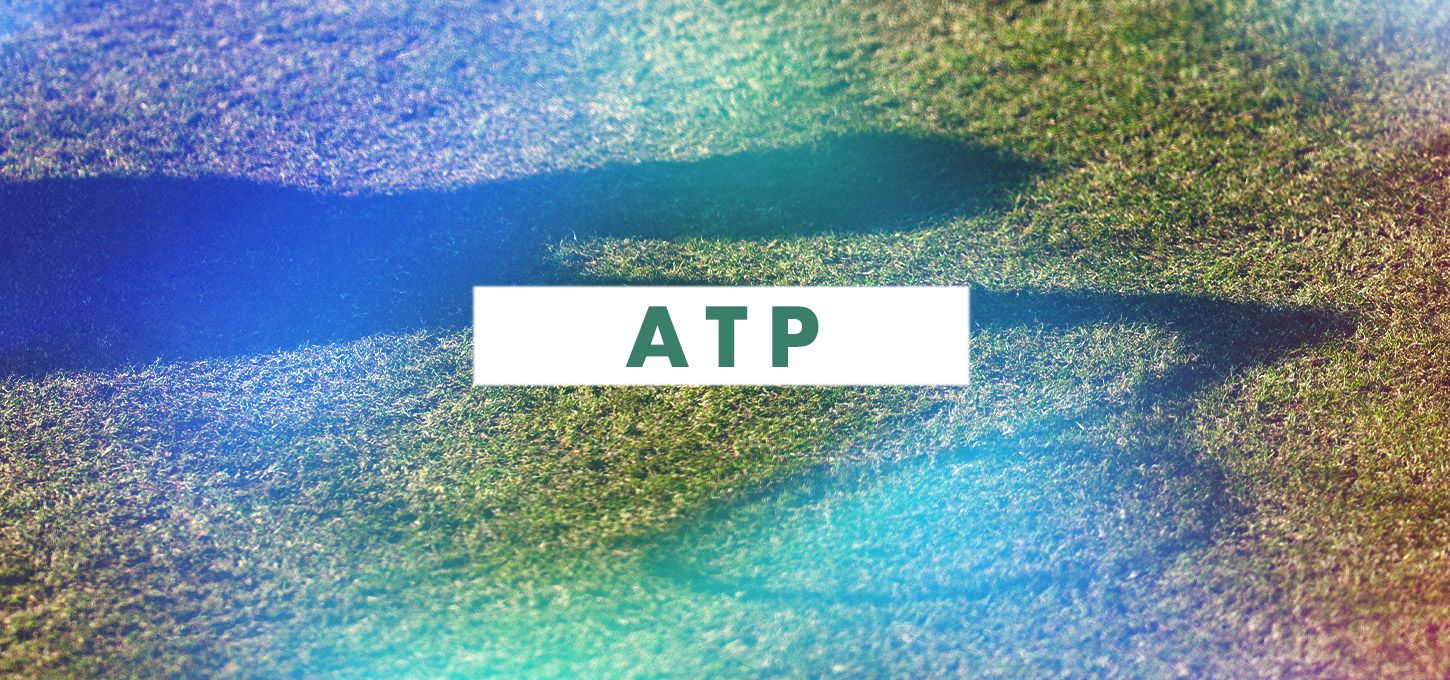 ATP generic