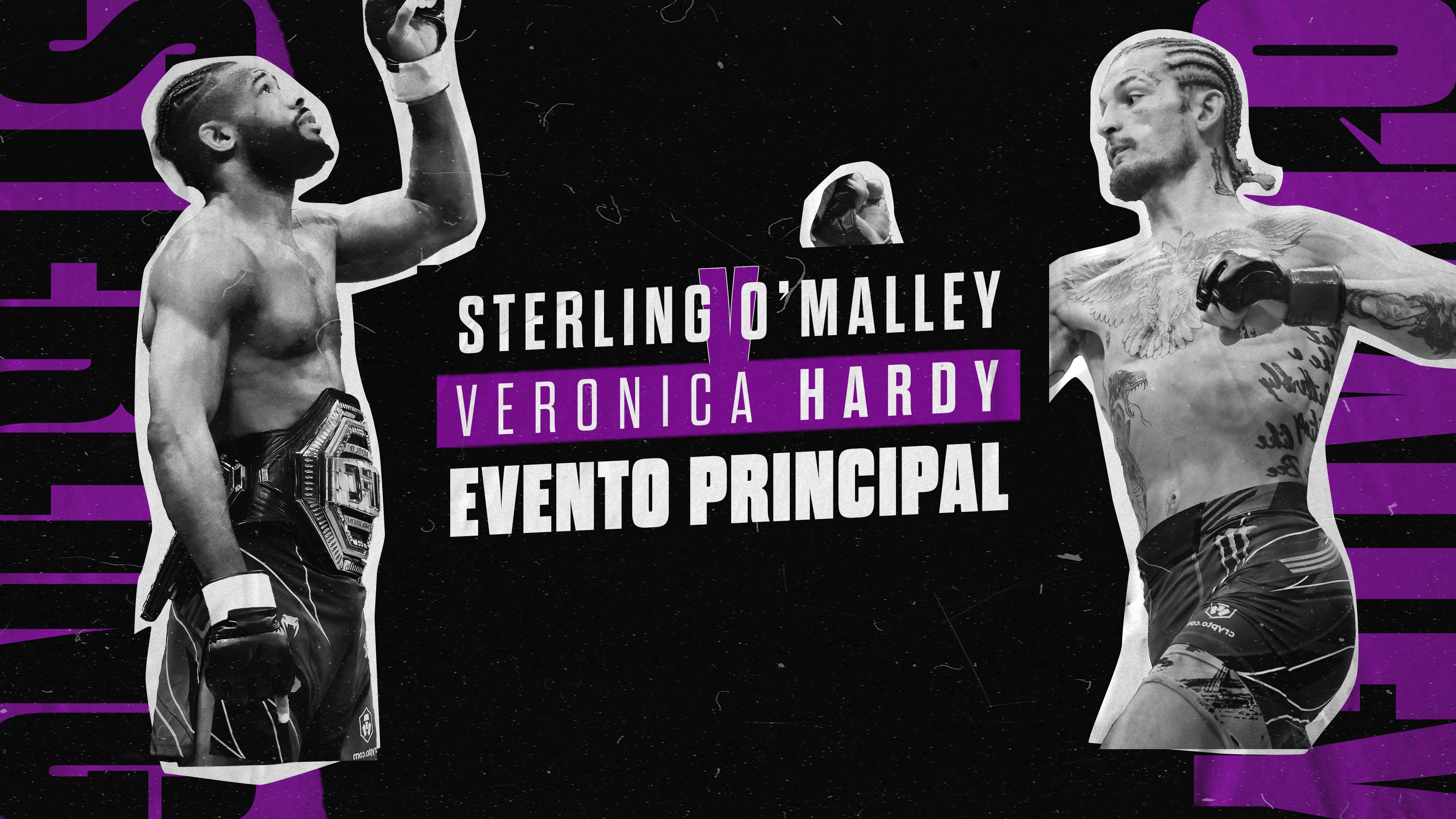 Sterling v O'Malley
