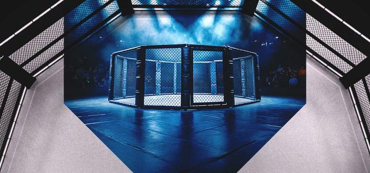 UFC - Octagon Generic